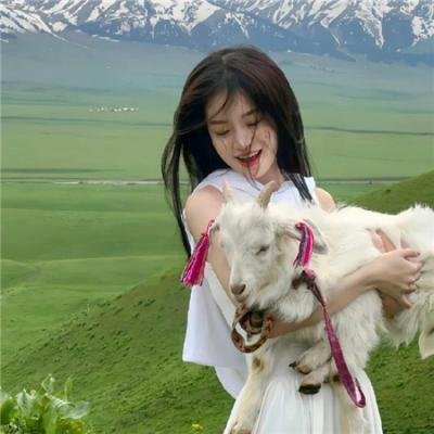 黑暗的森林